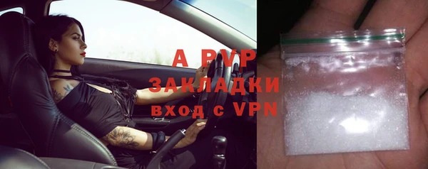 прущие грибы Нефтекумск