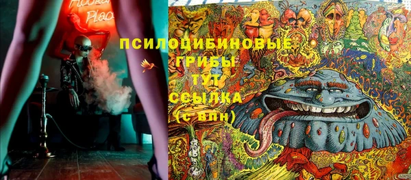 прущие грибы Нефтекумск
