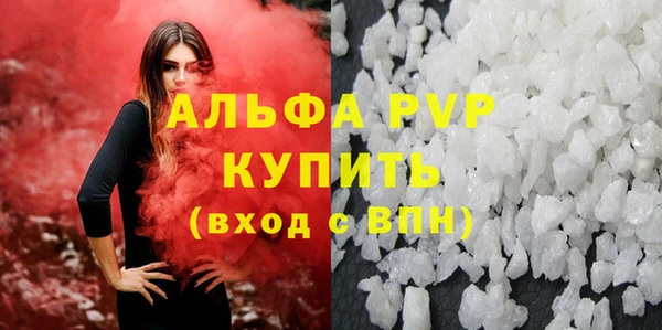 прущие грибы Нефтекумск