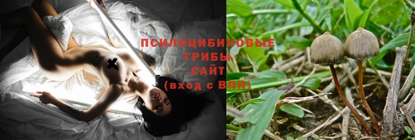 прущие грибы Нефтекумск
