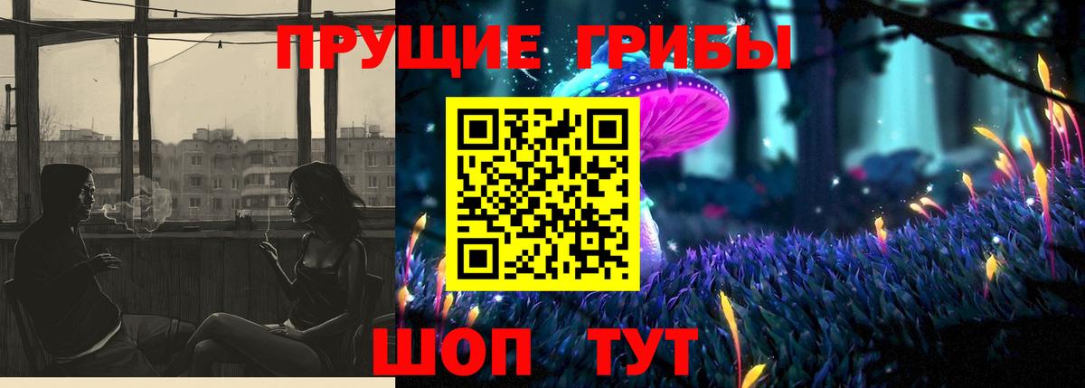 Ялуторовск  закладка  Вход с VPN  Псилоцибиновые грибы мухоморы 