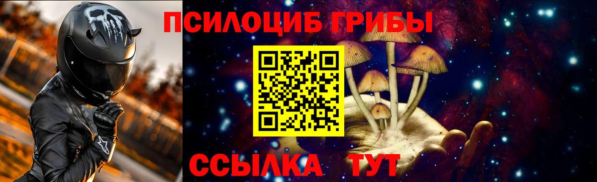 Галлюциногенные грибы Psilocybe Ялуторовск